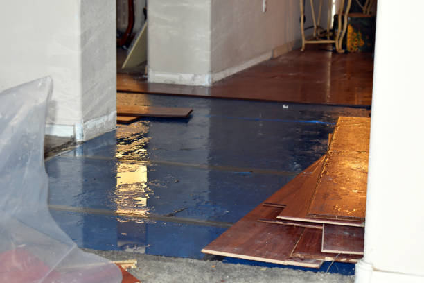 Professional Flood Damage Restoration technician working in Williamstown, NJ